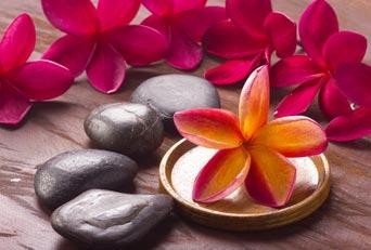 Frangipani-Blüten — Symbol für Lomi Lomi Nui hawaiianische Massage